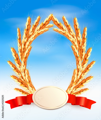 Ripe yellow wheat ears with red ribbons. Vector background