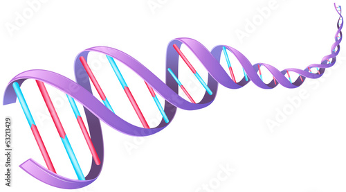 Human DNA