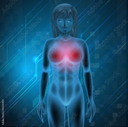 Human Breast