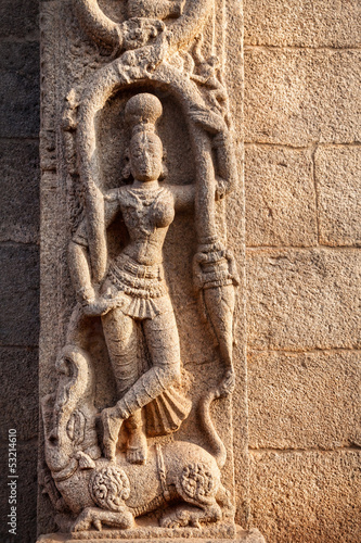 Hindu goddess on the wall in India