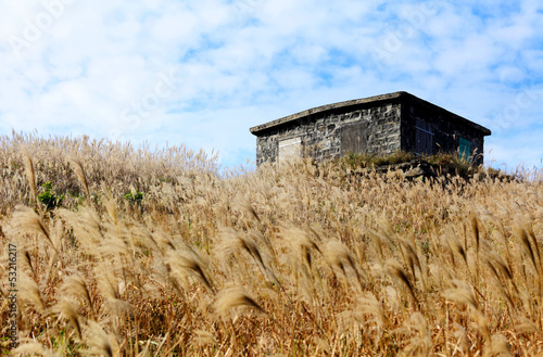 House on mountain