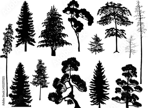 set of thirteen black trees