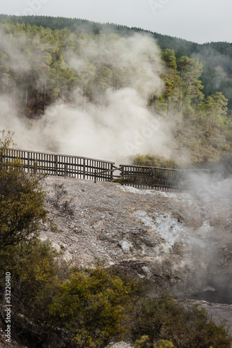steam escaping from craters in Waiotapu