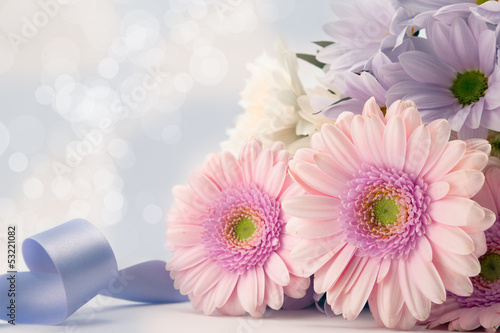 Fototapeta Pink gerbera daisies with blue ribbon.