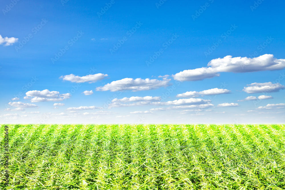 Green football field under blue sky background