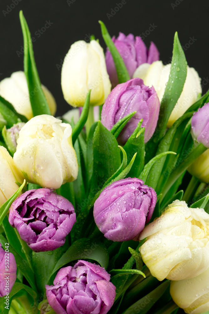Naklejka premium Bukiet tulipanów
