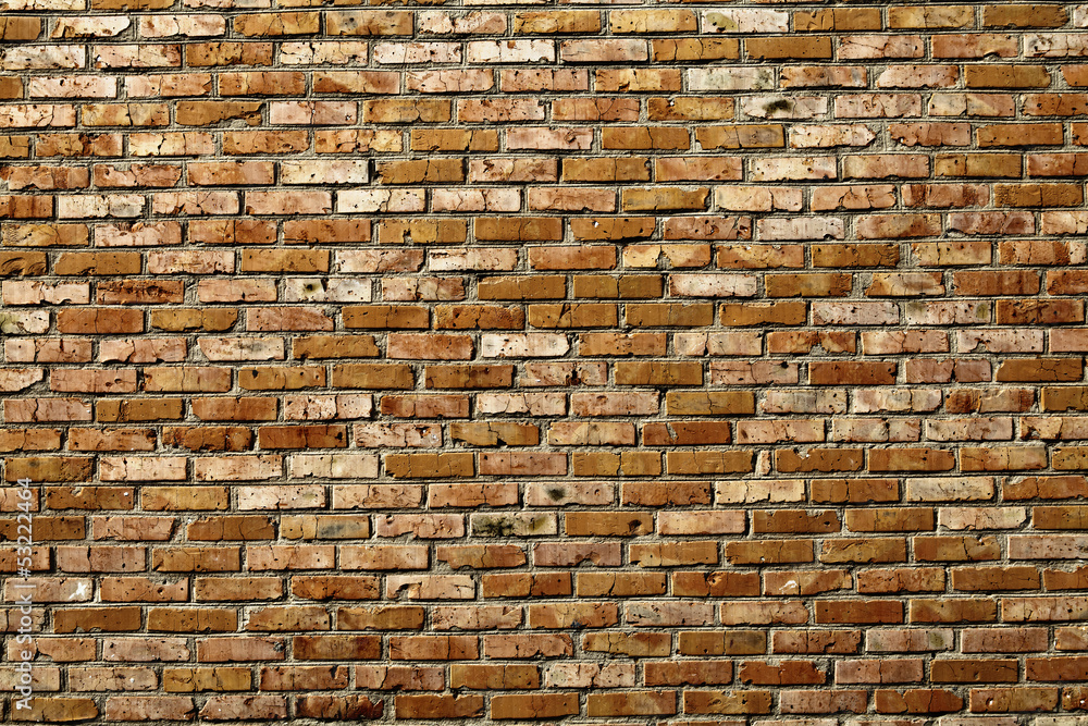 Obraz premium Old grunge brick wall background