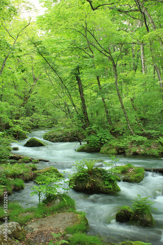 Oirase stream in Aomori  Japan