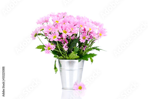Chrysanthemum flowers in the bucket