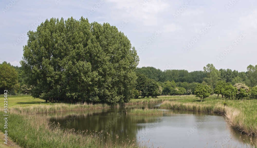 nature park lelystad