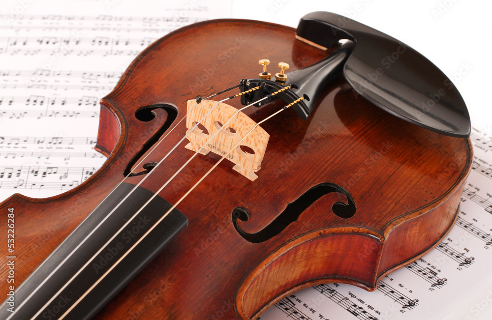 Fototapeta premium Violine / Geige