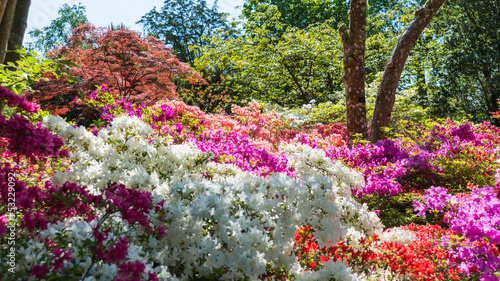 Wall Of Colour