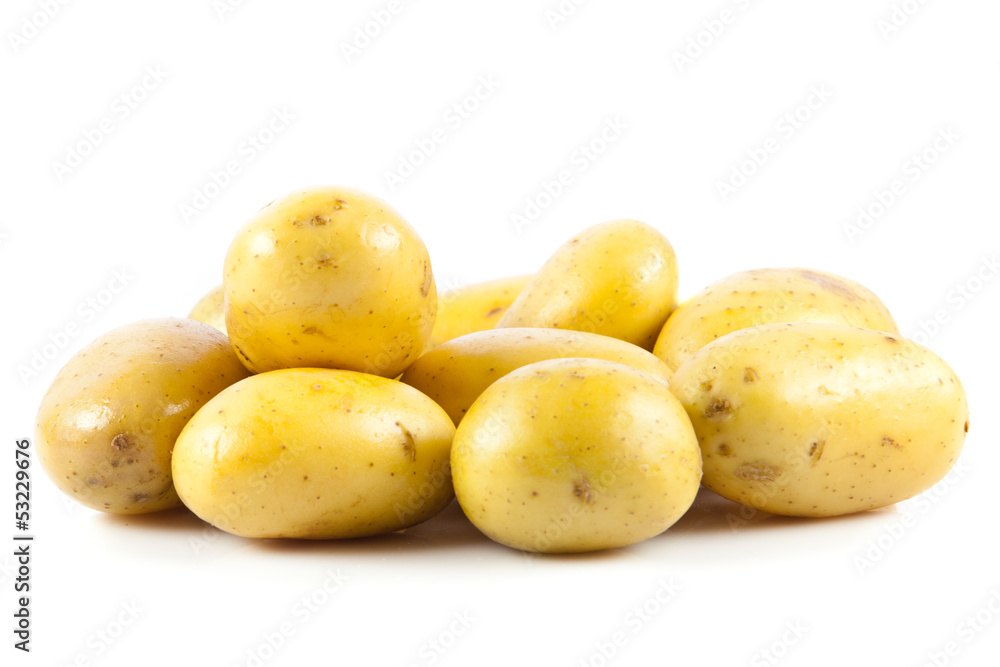 potato isolated on white background potato isolated on white background