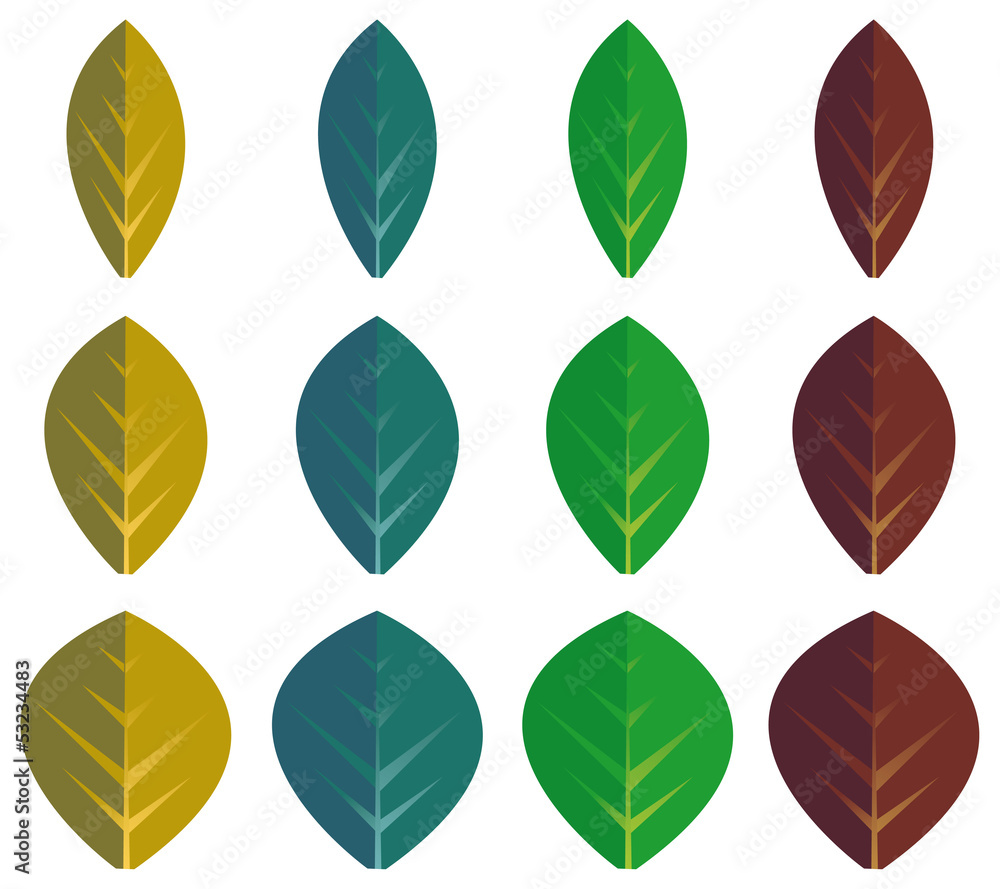 Obraz premium Set of color leaves