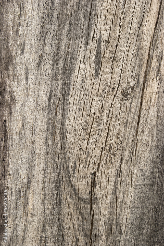 Old weathered grey wooden board as background Old weathered grey wooden board as background