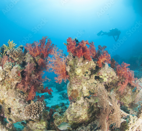 Fototapeta Naklejka Na Ścianę i Meble -  Diver on tropical coral reef