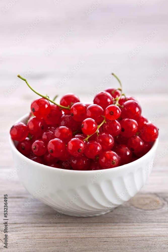 Rote Johannisbeere Rote Johannisbeere