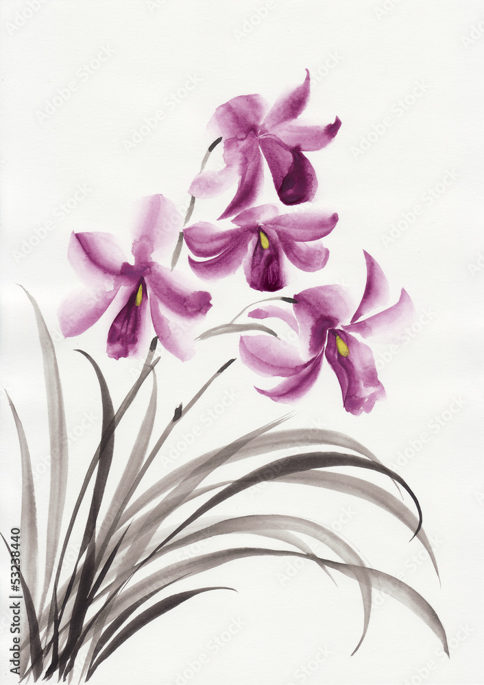 Lilac orchids