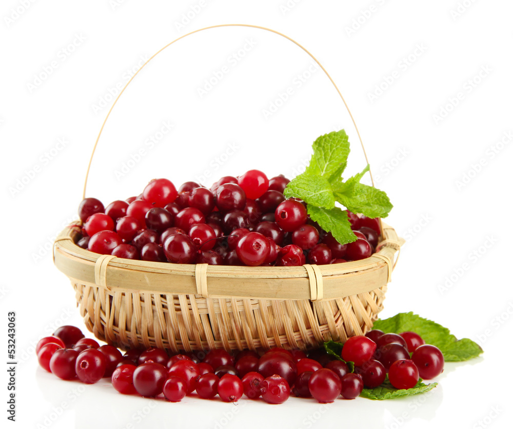 Ripe red cranberries in basket, isolated on white. Ripe red cranberries in basket, isolated on white.