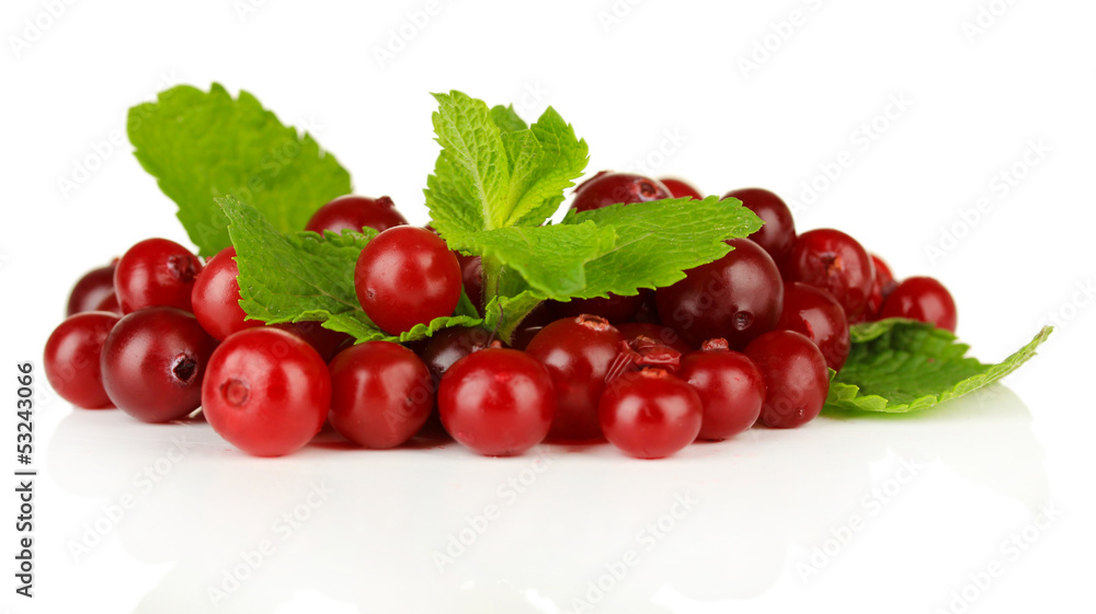 Ripe red cranberries, isolated on white.