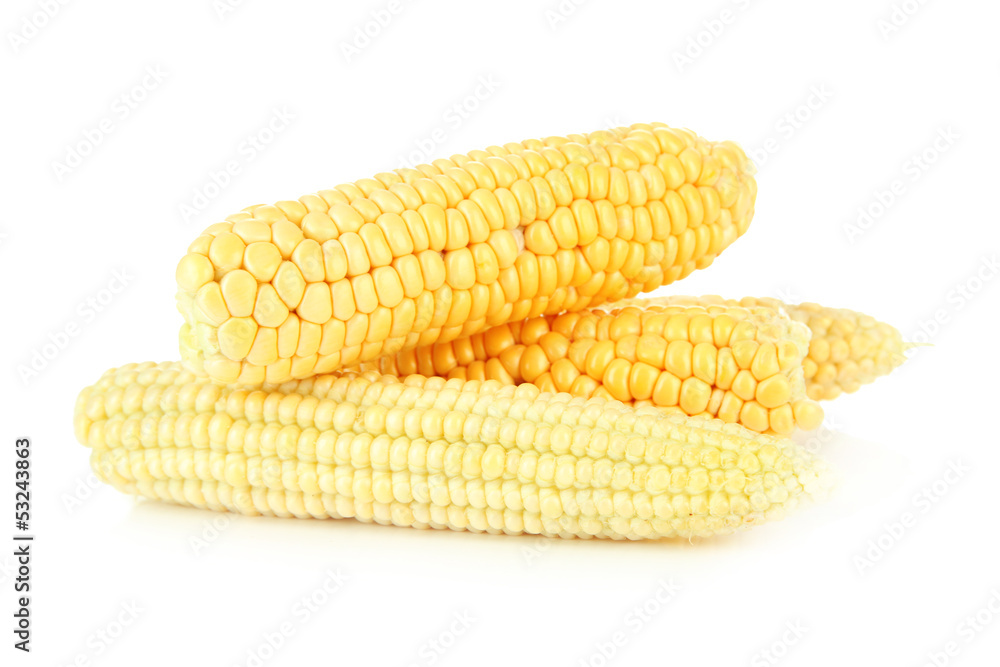 Fresh corn, isolated on white Fresh corn, isolated on white