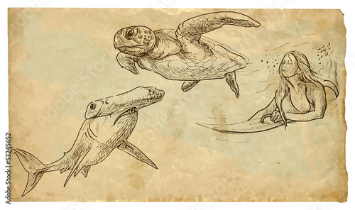 Canvas Print surfing woman sank between hammerhead shark and turtle