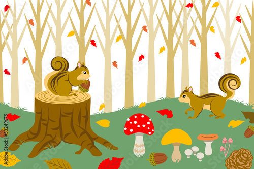 Squirrel Harvesting in autumn  forest