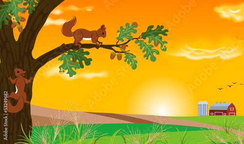 Squirrel and sunset landscape