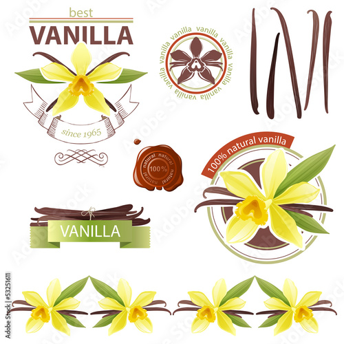 vanilla