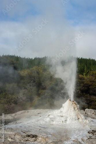 Lady Knox geyser erupting