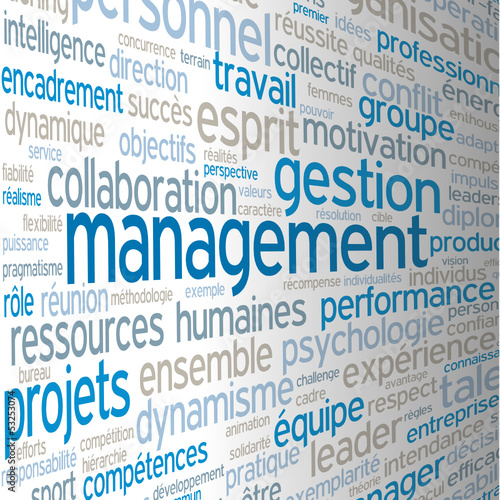 Nuage de Tags "MANAGEMENT" (gestion ressources humaines équipe)