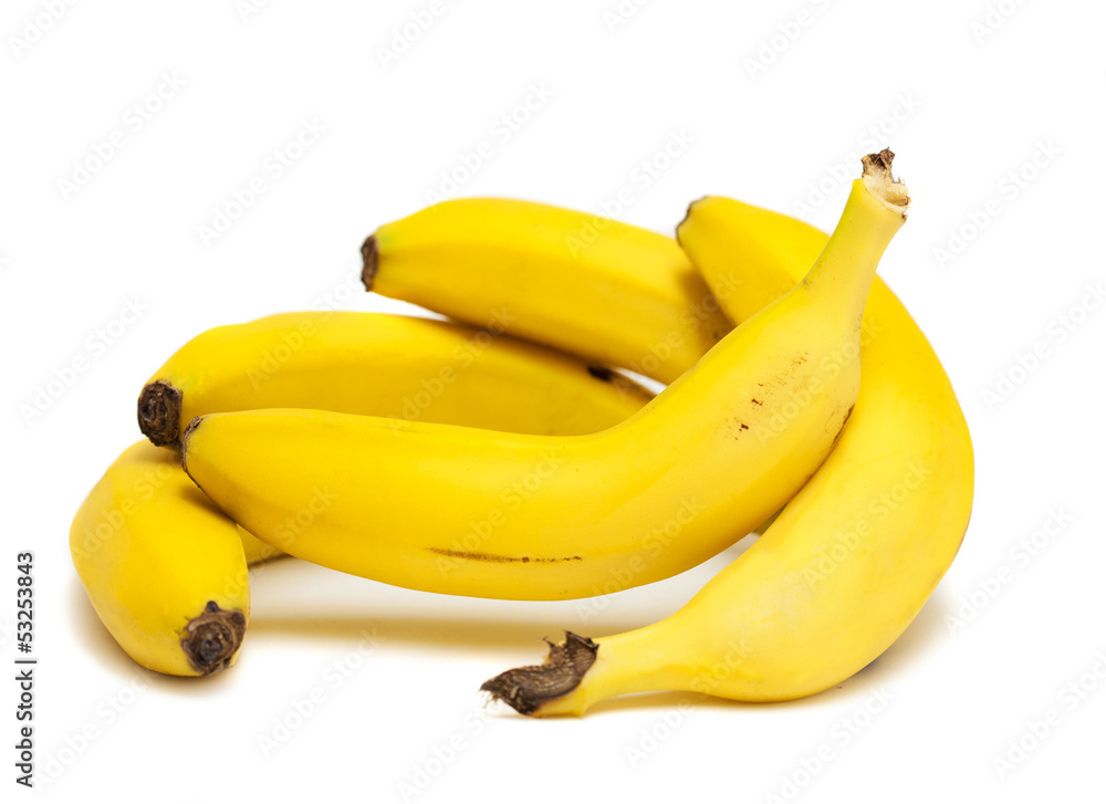 bananas taking care of one banana on a white background bananas taking care of one banana on a white background