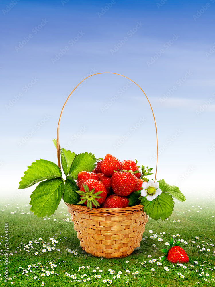 Naklejka premium Strawberries in the basket