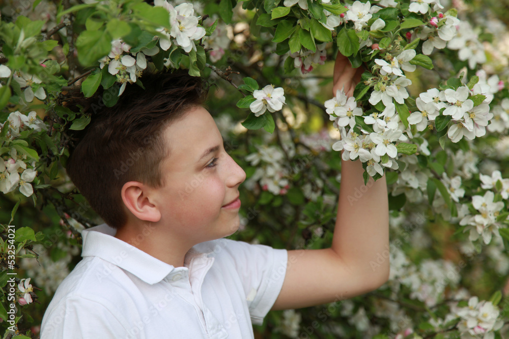Junge unter blühendem Apfelbaum Junge unter blühendem Apfelbaum