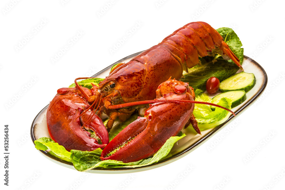 Large Lobster