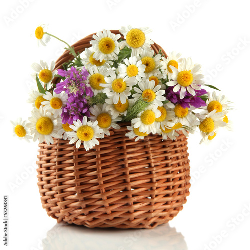 Fototapeta Naklejka Na Ścianę i Meble -  Beautiful wild flowers in basket, isolated on white