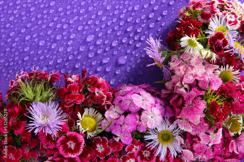 Fototapeta Naklejka Na Ścianę i Meble -  Wildflowers on purple background