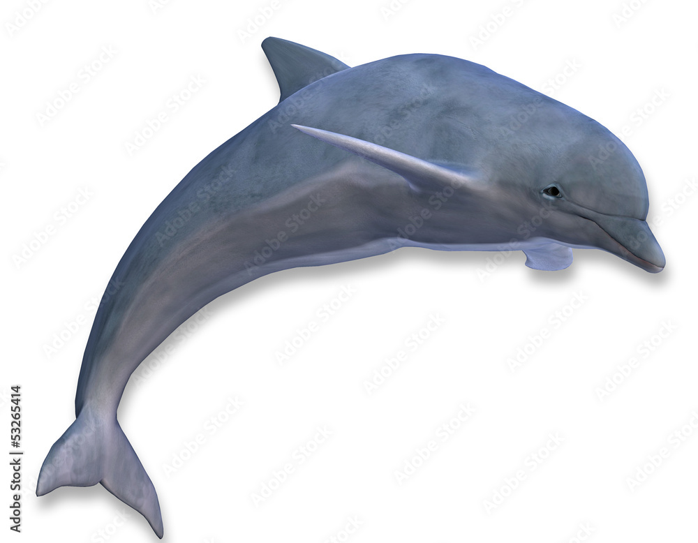 Fototapeta premium Illustration eines springenden Delphins