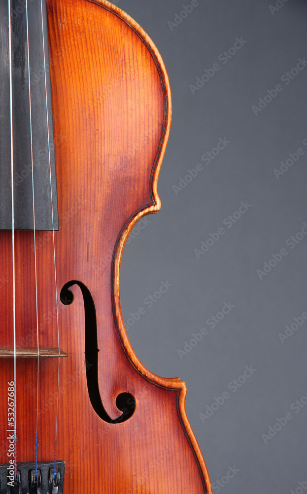 Classical violin on grey background Classical violin on grey background