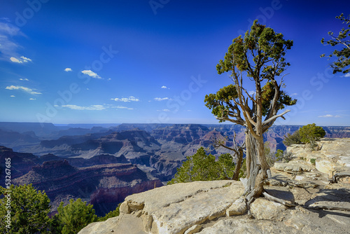 grand canyon  az