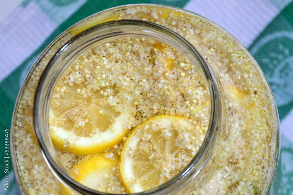 Elderflower Champagne Elderflower Champagne
