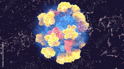 Enzyme in action (pyruvate dehydrogenase) photo