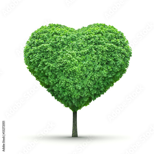 Heart-shaped green tree isolated