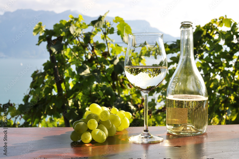 Pair of wineglasses and bunch of grapes. Lavaux region, Switzerl