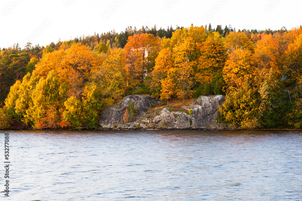 Obraz premium Autumn forest and lake landscape