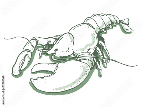 Vector illustration of lobster