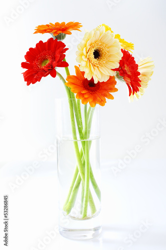 Arrangement of colourful gerbera daisies
