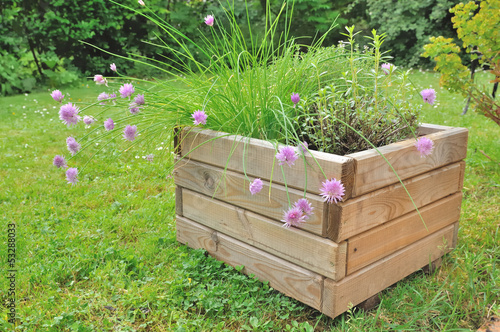 Tableau sur toile plantes aromatiques dans jardinière