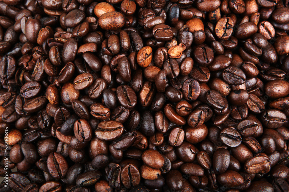 coffee beans coffee beans