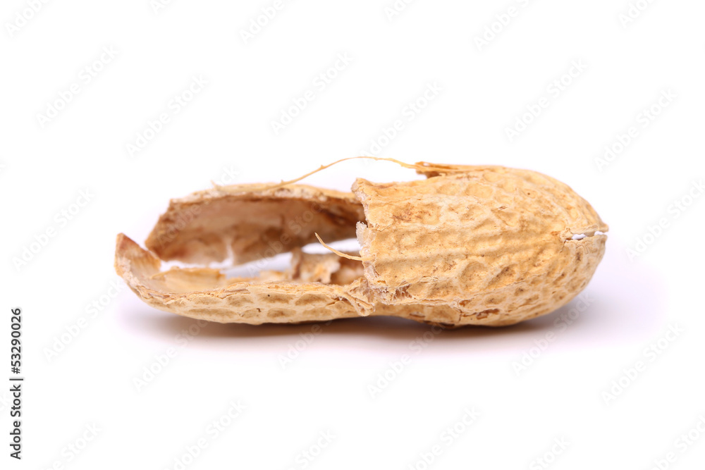 A peel of peanut close-up A peel of peanut close-up